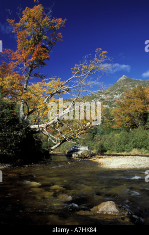 Nordamerika, USA, ME, fallen. Nesowadnehunk Strom und Doubletop Berg. Stockfoto