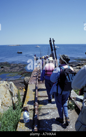 UNS, mir, Puffin watching-Tour mit Stöcken über ihren Köpfen zu verhindern, dass Küstenseeschwalben picken Sie Stockfoto