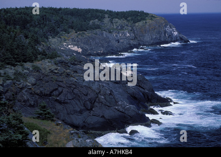 Nordamerika, uns, mich, Surf-Abstürze auf den Klippen. Stockfoto