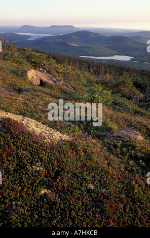 Nordamerika, uns, mich, Picataquis Berge. Northern Forest. Auf der Suche nach großen und kleinen Spencer. Appalachian Trail. Stockfoto