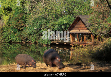 Hauptlager mit Blick auf See mit Wohnsitz Nilpferd Mlilwane Wildlife Sanctuary Swasiland Stockfoto