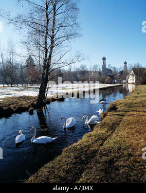 Winterliche Flusslandschaft der Ach Mit Schwaenen, St. Georgkirche Und Nikolaikirche, Isny Im Allgäu, Baden-Württemberg Stockfoto