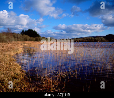 Unteren Sie Lough Macnean, Grafschaft Fermanagh, Nordirland Stockfoto