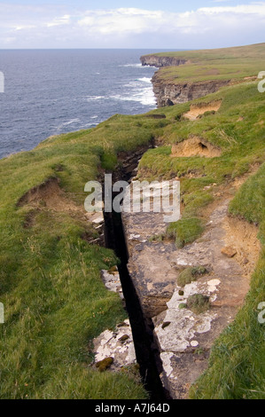 Dh Küstenerosion KÜSTENEROSION UK Geo bildet Knacken in Sea Cliff Felswand Schwarz Craig Orkney Stockfoto
