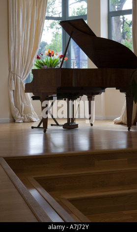 Flügel und Holzboden im Musikzimmer mit bemalten Speisesaal tens