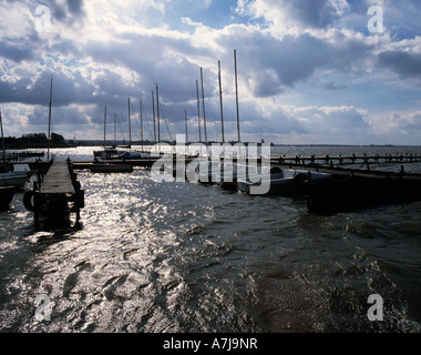 Duemmer See, Bootsanlegeplatz, werden, Gewitterstimmung, Dunkle Wolken am Himmel, Gegenlicht, Lembruch, Naturpark Duemmer, Niedersachsen Stockfoto