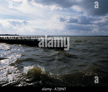 Duemmer See, Bootsanlegeplatz, werden, Gewitterstimmung, Dunkle Wolken am Himmel, Gegenlicht, Lembruch, Naturpark Duemmer, Niedersachsen Stockfoto