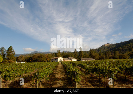 Troon Weinberg Applegate Valley Oregon Stockfoto