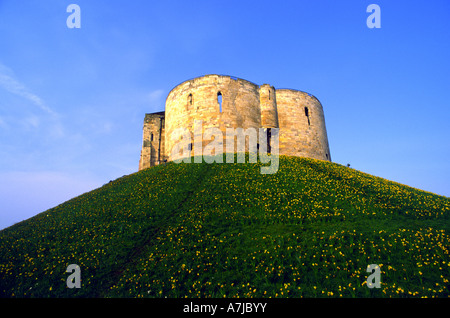 Clifford Tower in York an einem Frühlingstag Stockfoto