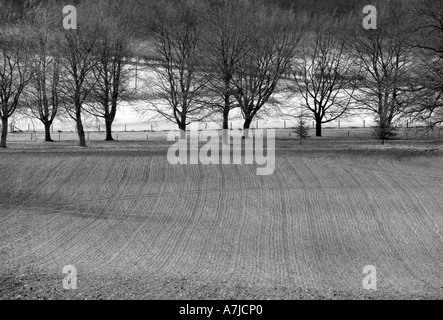 Pflug und Traktor Marken machen Ernte Muster im Feld Stockfoto