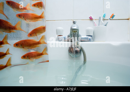 Wasser füllen die Badewanne mit einem transparenten Polyethylen-Bildschirm mit Goldfischen drucken. Stockfoto