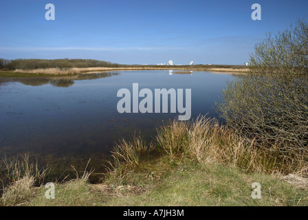 Goonhilly Erdefunkstelle Lizard Halbinsel Süd Cornwall UK von Pascoe Pool gesehen Stockfoto