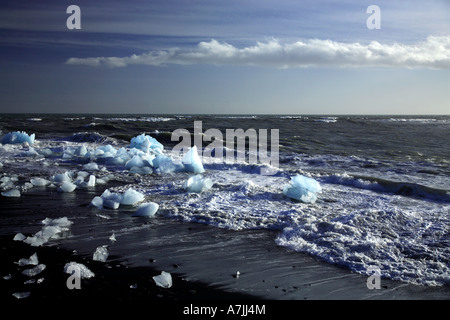 Fragmente der Eisberge, die auf einem schwarzen Vulkanstrand Island gebrochen Stockfoto