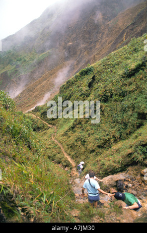 Dominica West Indies Karibik Wandern Valley of Desolation Stockfoto