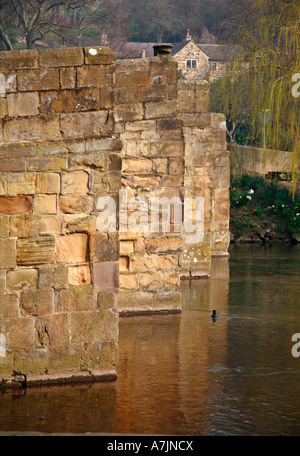 Alte Brücke über den Fluss Wye in Bakewell Peak District Derbyshire Stockfoto