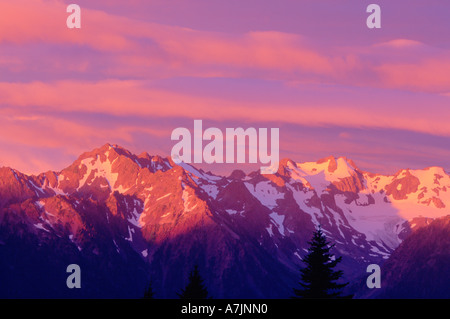 Sonnenaufgang über dem Olympischen Bergkette von Hurricane Ridge Olympic Nationalpark Washington USA gesehen Stockfoto