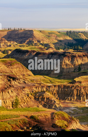 Horseshoe Canyon in Badlands Gegend nahe Drumheller, Alberta Kanada Stockfoto
