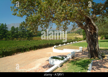 Das schöne wackelige Brücke Weingut in Franschhoek Valley Kapprovinz in Südafrika Stockfoto