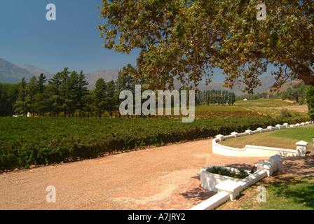 Das schöne wackelige Brücke Weingut in Franschhoek Valley Kapprovinz in Südafrika Stockfoto