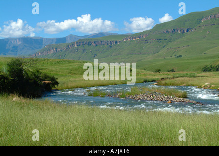 Die schnell fließenden Fluss Mhlwazini in der Nähe von Cathedral Peak in Drakensberg Berge Zulu Königreich Kwazulu Natal in Südafrika Stockfoto