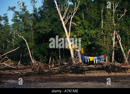 Klamotten auf einer Linie zwischen Bäumen zum Trocknen in die Everglades während auf einem camping-Ausflug. Stockfoto