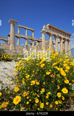 EGINA INSEL GRIECHENLANDS SARONISCHEN GOLF ANTIKEN DORISCHEN TEMPEL AFAIA STEHEND AUF EINEM HÜGEL OBERHALB AGHIA MARINA IM FRÜHLING Stockfoto