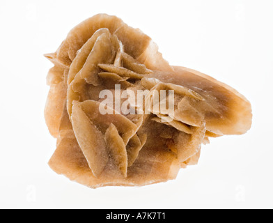 Desert rose Sandsteinformation auf weißem Hintergrund in der Sahara-Tunesien-Afrika gefunden Stockfoto