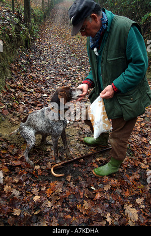 Weiße Trüffel Digger und seinem Hund in den Wald im Piemont Italien Stockfoto