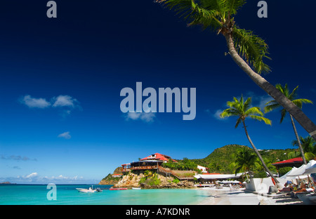 Palmen über Strand Baie de St. Jean mit Eden Rock Hotel St. Barths FWI hängen Stockfoto