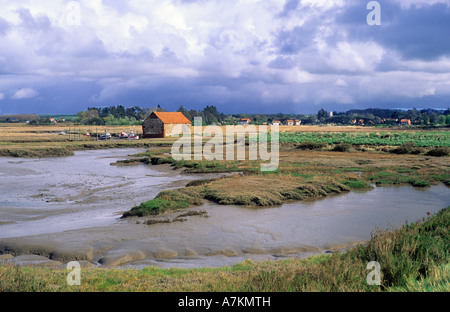 Dornweiler, Norfolk, Kohle-Scheune, Bach und Dorf, Nordwestküste, Salz Sümpfe, East Anglia, England, UK, Gewitterwolken Stockfoto