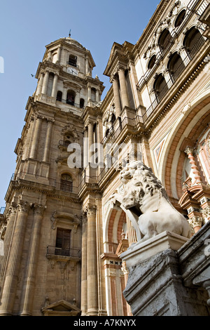 Die Kathedrale von Malaga Spanien Stockfoto