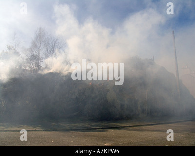 GWYNEDD NORTH WALES März Brennen der Ginster auf neues Wachstum für die Schafe grasen anzuregen Stockfoto