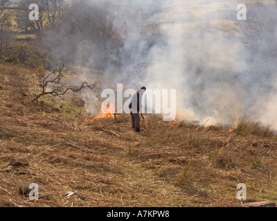 GWYNEDD NORTH WALES UK März A Mann tut kontrollierte Verbrennung von der Heide Stockfoto