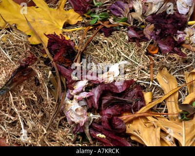 Getrocknete Blätter und Blumen Hintergrund Stockfoto