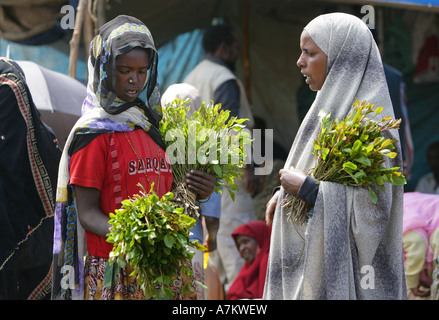 Äthiopien - Frauen verkaufen Chat auf dem Chat-Markt in Aweday in der Nähe von Harar Stockfoto