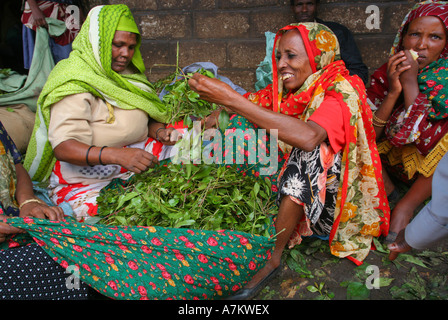 Äthiopien - Frauen verkaufen Chat auf dem Chat-Markt in Aweday in der Nähe von Harar Stockfoto