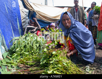 Äthiopien - Frauen verkaufen Chat auf dem Chat-Markt in Aweday in der Nähe von Harar Stockfoto