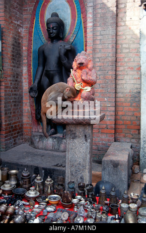 Affe hilft selbst Angebote links in einem Schrein in der Nähe von Swayambunath Stupa Kathmandu Nepal Reis Stockfoto