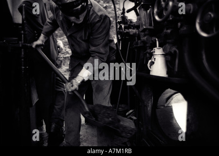 Dampf-Zug-Ingenieur schürt das Feuer am See und Haverthwaite Linie Coniston Cumbria England Stockfoto