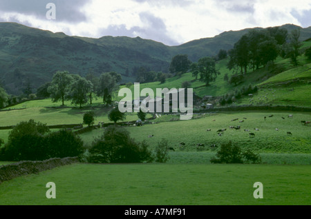 Lakeland Bauernhof in Easedale, in der Nähe von Grasmere, Nationalpark Lake District, Cumbria, England, UK. Stockfoto