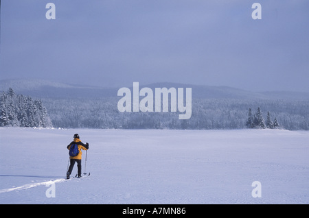 Nordamerika, uns, NH, Langlauf über zweite Connecticut Lake. Northern Forest. Wintersport. (MR) Stockfoto