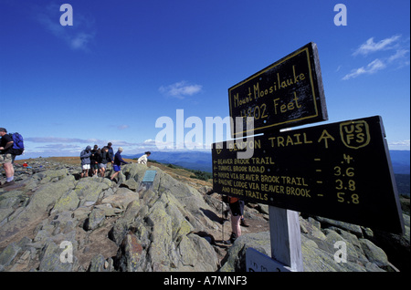 Nordamerika, USA, NH, Wandern.  Mt. Moosilaukes. Appalachian Trail. Stockfoto