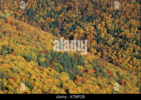 Nordamerika, USA, NH, Herbstlaub an den Hängen des Mt. Lafayette New Hampshire. Franconia Ridge.  White Mountains. Stockfoto