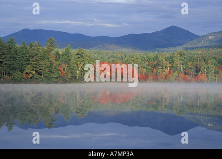 Nordamerika, USA, NH, Herbst Reflexionen in Chocorua See in New Hampshire White Mountains. Stockfoto