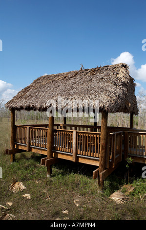 Beobachtung Hütte und Plattform big Cypress national Preserve, die Florida Vereinigte Staaten usa Stockfoto