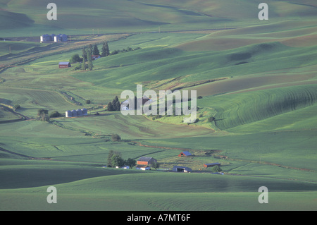 N.a., USA, Washington, Palouse landwirtschaftliche Region, in der Nähe von Colfax; Kontur Landwirtschaft auf sanften Hügeln Stockfoto