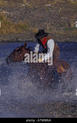 N.a., USA, Oregon, Seneca Cowboy und Pferd im Wasser Stockfoto