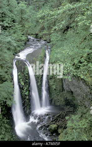 USA, Columbia River Gorge, Oregon Triple Wasserfälle entlang Oneonta Creek, Frühling Stockfoto