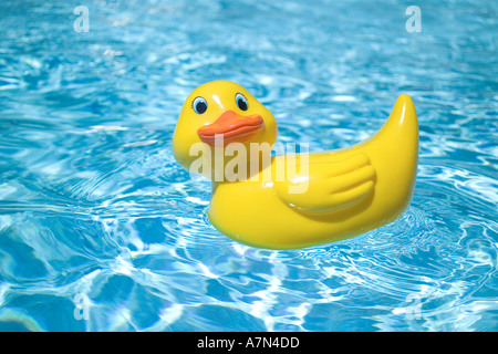 Gummiente im pool Stockfoto