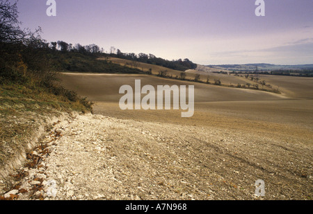 Felder ohne Hecken Prairie Farming East Sussex England rodete Hedge 1992, 1990er Jahre, UK HOMER SYKES Stockfoto